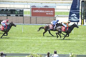 Sette Bello comes up trumps second time out